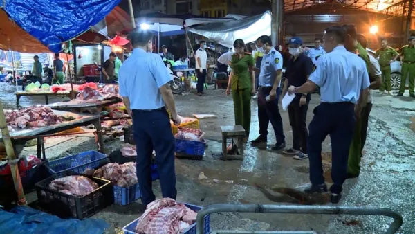 Phá đường dây thu gom, giết mổ heo bệnh bán cho chợ, quán ăn, nhà hàng khắp Hà Nội- Ảnh 5. Phá đường dây thu gom, giết mổ heo bệnh bán cho chợ, quán ăn, nhà hàng khắp Hà Nội - Ảnh 5.