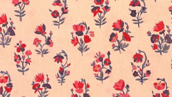 Sanganeri print