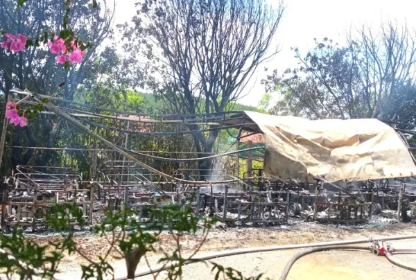 xe điện - Ảnh 3.