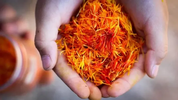 You can adapt your planets with saffron, see these surefire remedies ... we will get wealth, splendor and good fortune