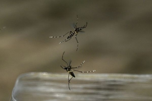 Châu Âu bùng phát virus phá hủy nội tạng - Ảnh 1. virus - Ảnh 1.