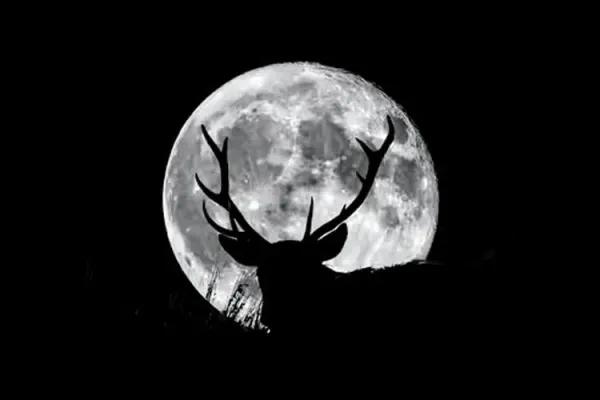 Bulan-Purnama.jpg