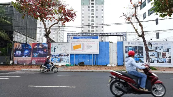 đấu giá - Ảnh 1.