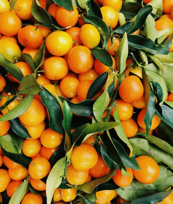 bushels of oranges