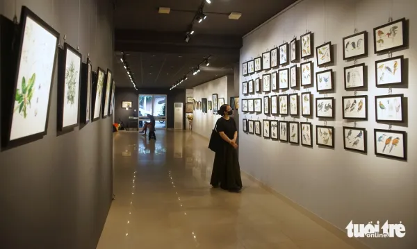 động vật hoang dã - Ảnh 2.