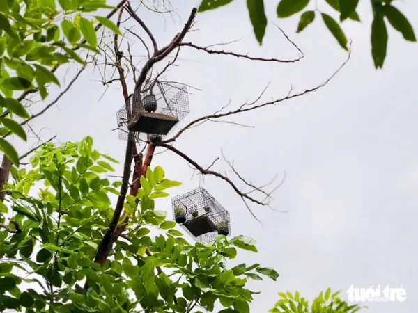 kênh Nhiêu Lộc - Thị Nghè - Ảnh 10.