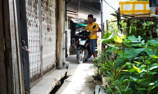 Cà Mau: Tranh chấp lối đi, đem cây rào đường - Ảnh 2.