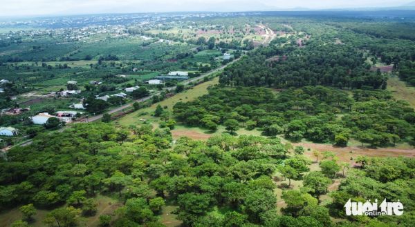 Dự án sân golf Đak Đoa sắp khởi động lại, hiện trạng ra sao?- Ảnh 6. Dự án sân golf Đak Đoa sắp khởi động lại, hiện trạng ra sao?- Ảnh 6.