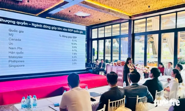 trí tuệ - Ảnh 1.