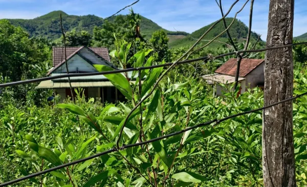 điện - Ảnh 2.