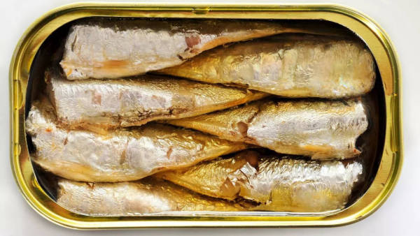 Sardines