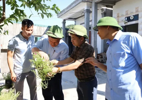 dịch sốt xuất huyết - Ảnh 2.
