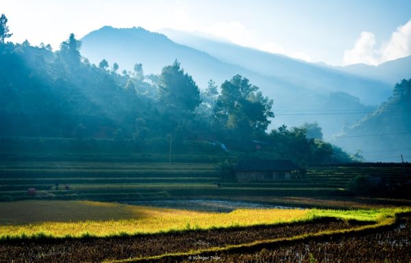 Khám phá ngày mới bình yên, tuyệt đẹp ở xã vùng cao Hạnh Phúc - Ảnh 11. xã Hạnh Phúc - Ảnh 11.