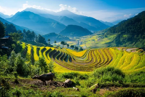 Khám phá ngày mới bình yên, tuyệt đẹp ở xã vùng cao Hạnh Phúc - Ảnh 13. xã Hạnh Phúc - Ảnh 13.