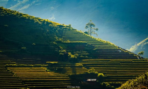 Khám phá ngày mới bình yên, tuyệt đẹp ở xã vùng cao Hạnh Phúc - Ảnh 14. xã Hạnh Phúc - Ảnh 14.