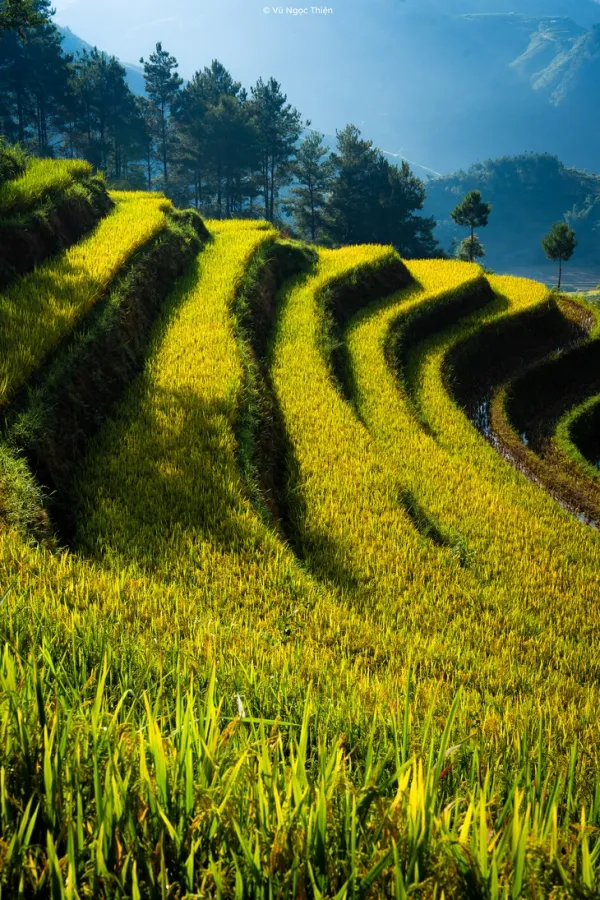 Khám phá ngày mới bình yên, tuyệt đẹp ở xã vùng cao Hạnh Phúc - Ảnh 15. xã Hạnh Phúc - Ảnh 15.
