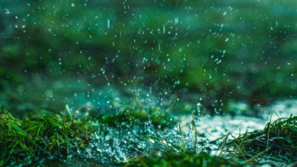 Green Colored Rain Due to Polling (Source: Internet)