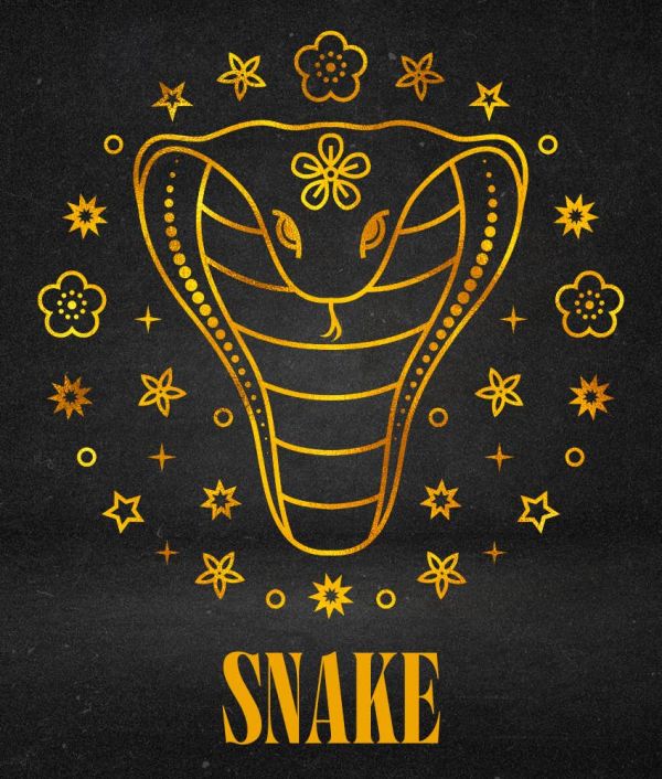 snake weekly horoscope chinese zodiac sign july 21 - 27, 2025