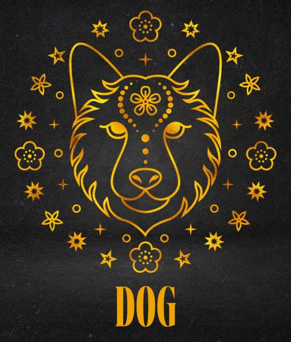 dog weekly horoscope chinese zodiac sign july 21 - 27, 2025