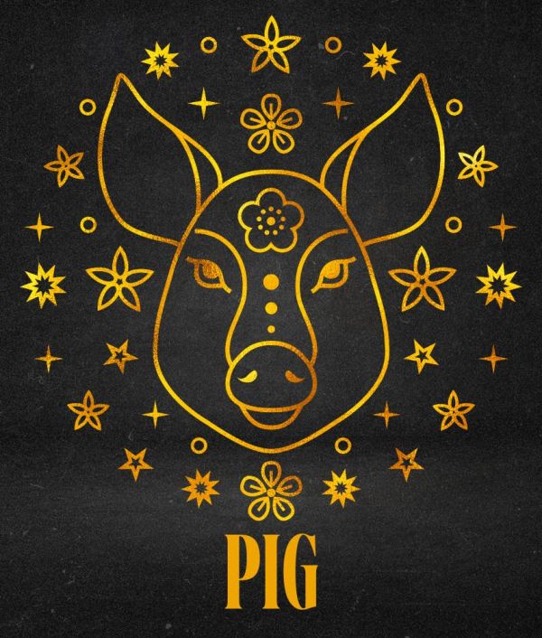 pig weekly horoscope chinese zodiac sign july 21 - 27, 2025