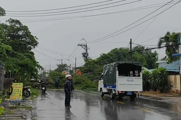 mưa dông - Ảnh 3.