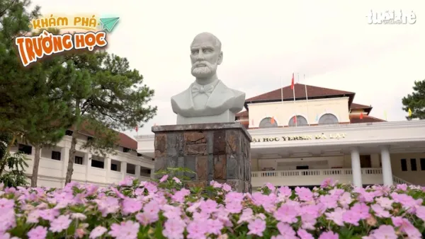19h ngày 20-7, Trường đại học Yersin Đà Lạt lên sóng Khám phá trường học - Ảnh 5.