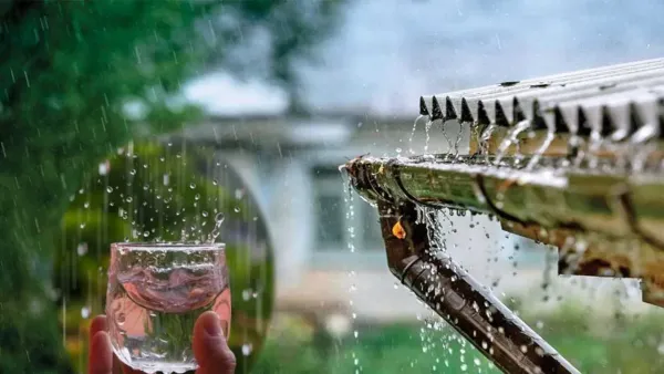 Sawan 2025: These measures can change without money done with rain water, your luck can change ... you will feel money!