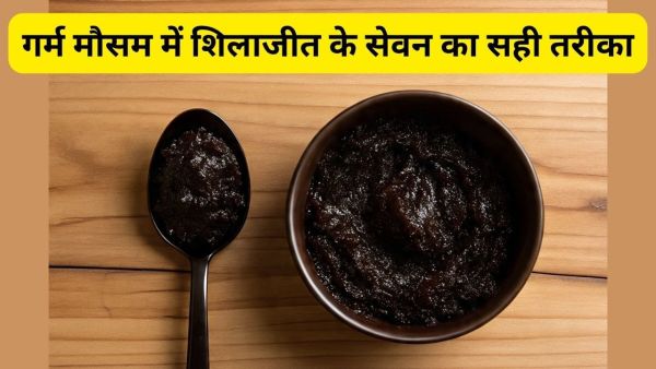 What is the right way to eat Shilajit in summer and monsoon? Learn from experts What is the right way to eat Shilajit in summer and monsoon? Learn from experts