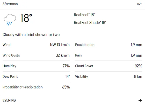 Manchester afternoon weather.