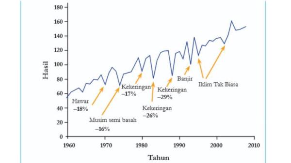 GRAFIK PRODUKSI JAGUNG - Soal grafik produksi jagung ini diambil dari Buku Ilmu Pengetahuan Alam untuk SMP/MTs Kelas IX Halaman 178 pada Selasa (22/7/2025).