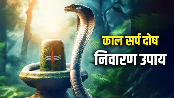 Kaal Sarp Dosh: 1 panacea to remove Kaal Sarp Dosha on Nag Panchami!