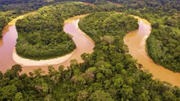 Amazon River Winding Through Lush Green Rainforest.