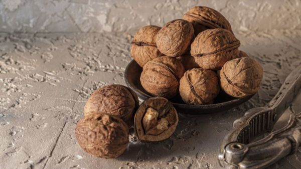 Omega 3 rich walnuts