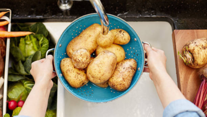 Diagnosis of potatoes grows