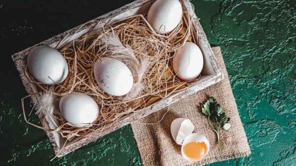 Eating eggs can reduce bad cholesterol! Learn what the study says