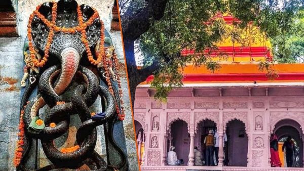 NAG Vasuki Temple Prayagraj: Prayagraj's snake Vasuki temple is unique, know what is its relationship with sea churning NAG Vasuki Temple Prayagraj: Prayagraj's snake Vasuki temple is unique, know what is its relationship with sea churning