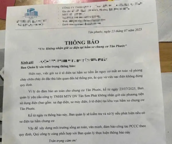 xe điện - Ảnh 1.