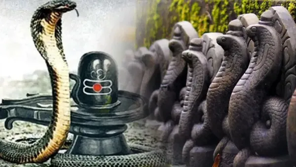 Nag Panchami 2025: Which 8 Nagas are worshiped on Nagpanchami… What is its importance and worship method? Nag Panchami 2025: Which 8 Nagas are worshiped on Nagpanchami… What is its importance and worship method?