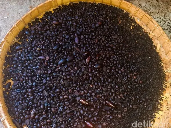 Cara Meracik Kopi Khas Desa Tetebatu