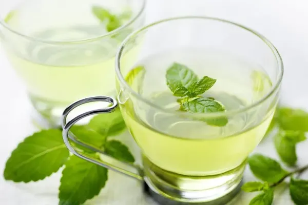 closeup of fresh mint tea, surrounded by fresh mint