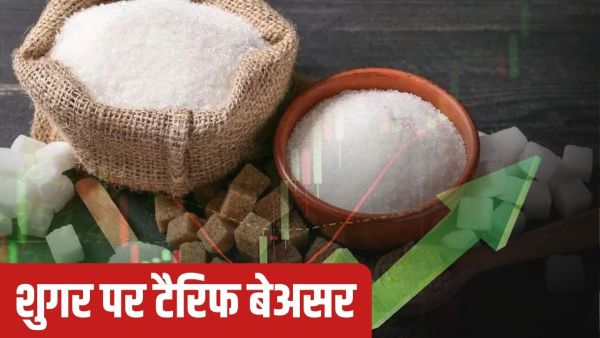 Trump tariff will not be seen here, sugar stocks run up to 20% due to a government decision Trump tariff will not be seen here, sugar stocks run up to 20% due to a government decision