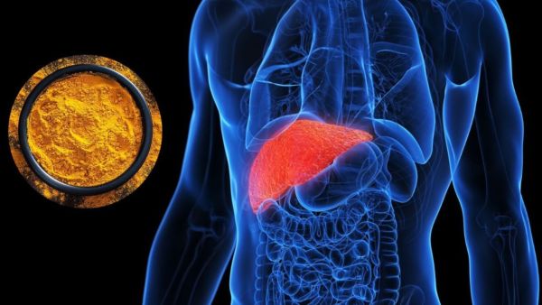Liver Disease and Turmeric: Should turmeric be eaten in liver diseases? Learn from experts