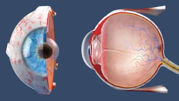 Fresh treatment in AIIMS by preserving waste cornea Fresh treatment in AIIMS by preserving waste cornea