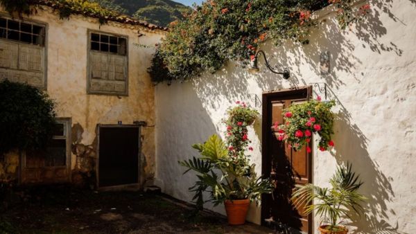 Vastu Shastra Plants: Do not forget to keep these plants even on the main door, otherwise the problems will increase in the house!