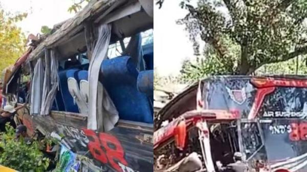 LAKA MAUT - Kecelakaan bus terjadi di kawasan Kecamatan Sukapura, Kabupaten Probolinggo, Jawa Timur, Minggu (14/9/2025) siang. Informasi yang dihimpun Tribun Jatim Network, menyebut bus itu membawa rombongan pegawai Rumah Sakit Bina Sehat, (RSBS), Jember.