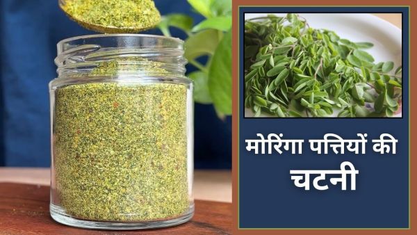 Nutrients of Moringa leaves rich chutney recipe, will not be spoiled for several days