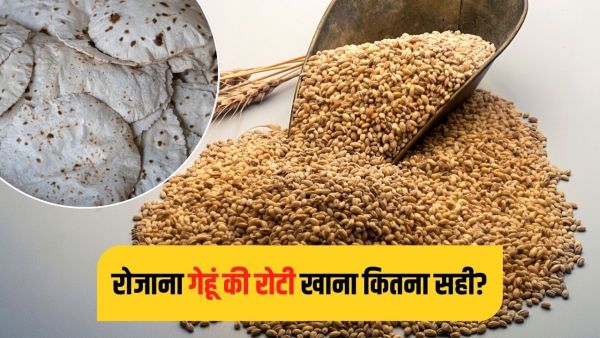 Is eating wheat bread daily dangerous for health? Learn from experts