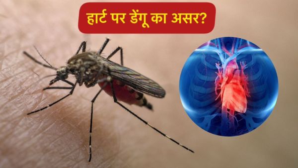 Does dengue and viral fever also affect the heart? Learn from experts Does dengue and viral fever also affect the heart? Learn from experts