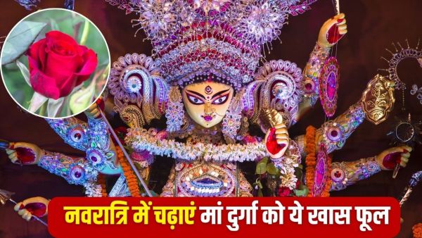 Navratri 2025: Mother Durga is happy with these flowers, wealth, splendor and happiness! Navratri 2025: Mother Durga is happy with these flowers, wealth, splendor and happiness!