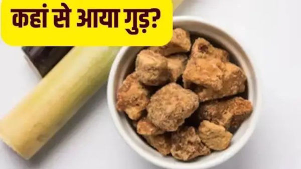 Not one, these are three different types of jaggery-do you know which one to choose?